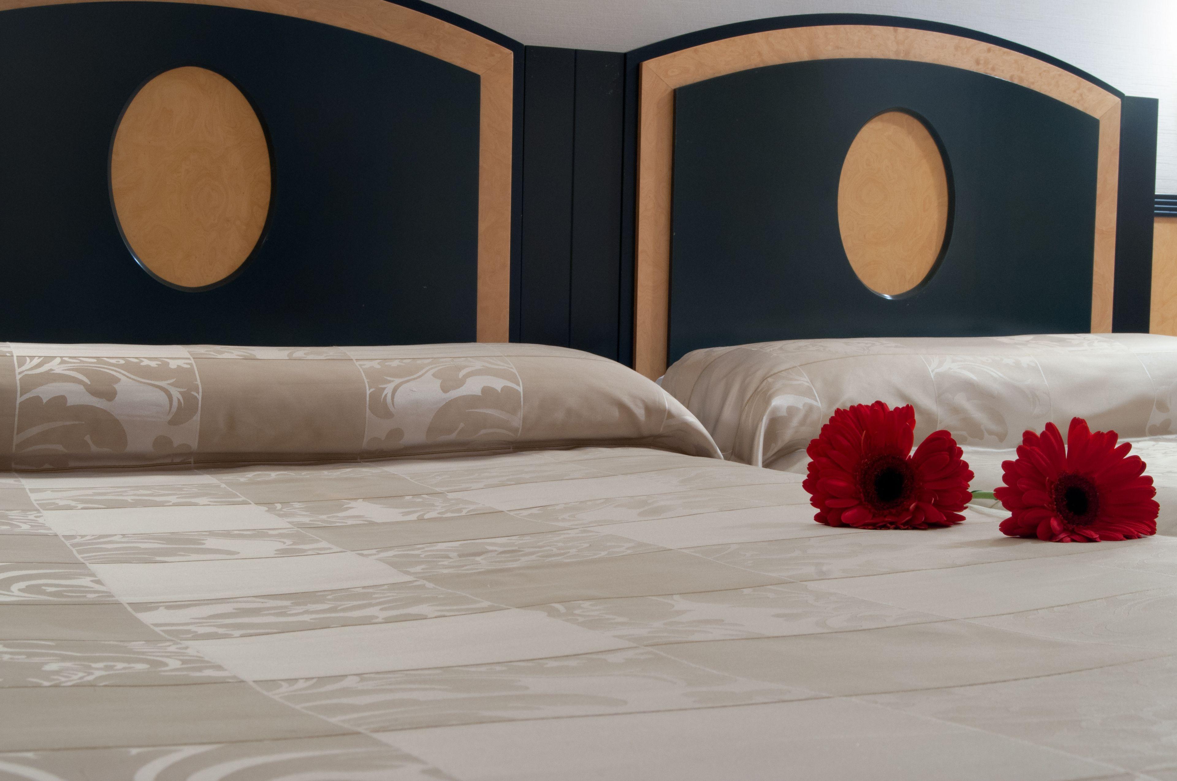 Hotel Macia Condor — Photos 2
